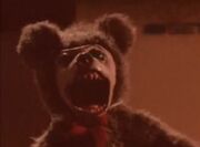 Teddy lol