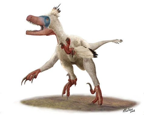 Variraptor2.jpg