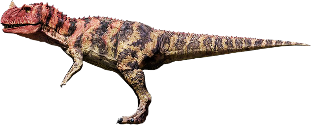 carnivore dinosaur with horn on nose