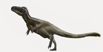 Daspletosaurus torosus by durbed-d5qrn58