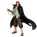 Shanks PW3