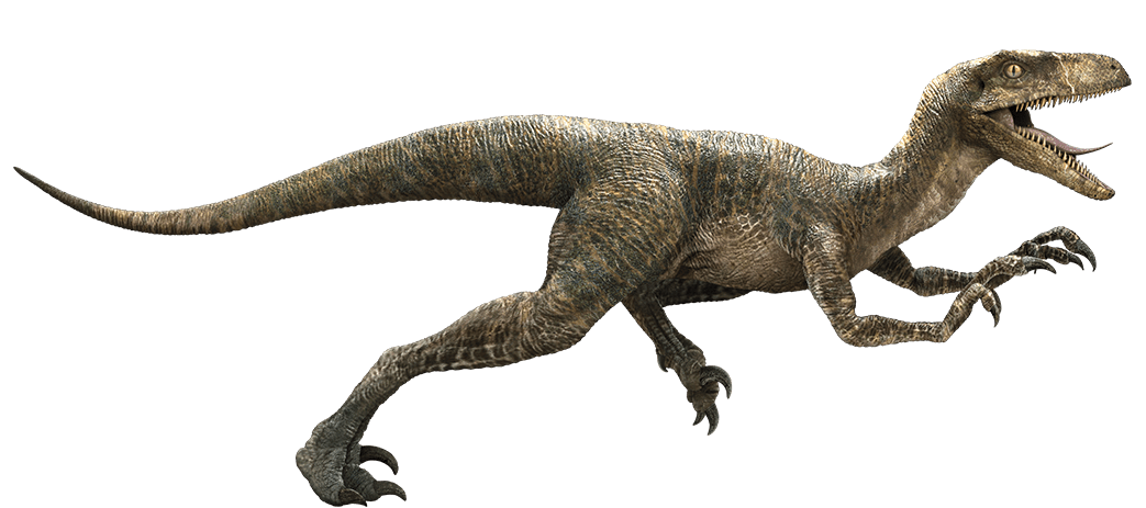 [Image: Velociraptor-detail-header.png]
