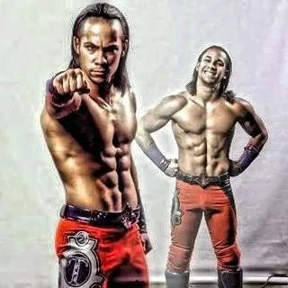 Tate Twins Pro Wrestling Wiki Divas, Knockouts, Results, Match