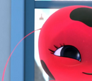 Tikki