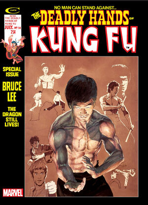 Deadly Hands of Kung Fu Vol 1 14