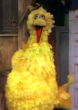 Big Bird Through the Years - Muppet Wiki