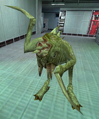 Image - Pit Drone BM.jpg - Half-Life Wiki