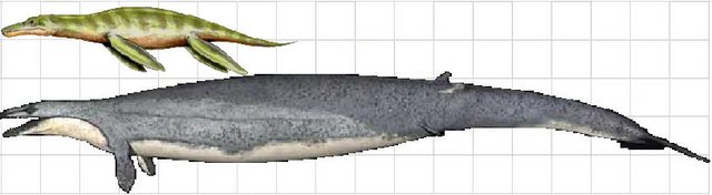 Image - Liopleurodon.png - Prehistoric Wiki