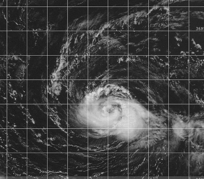 1984 Atlantic hurricane season - Hypothetical Hurricanes Wiki