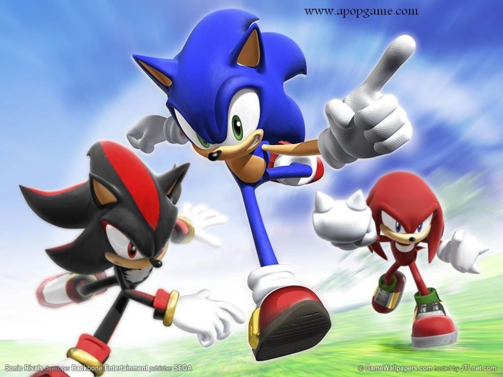 Image - Sonic-the-Hedgehog-and-the-team-sonic-the-hedgehog-7067668-1000 ...