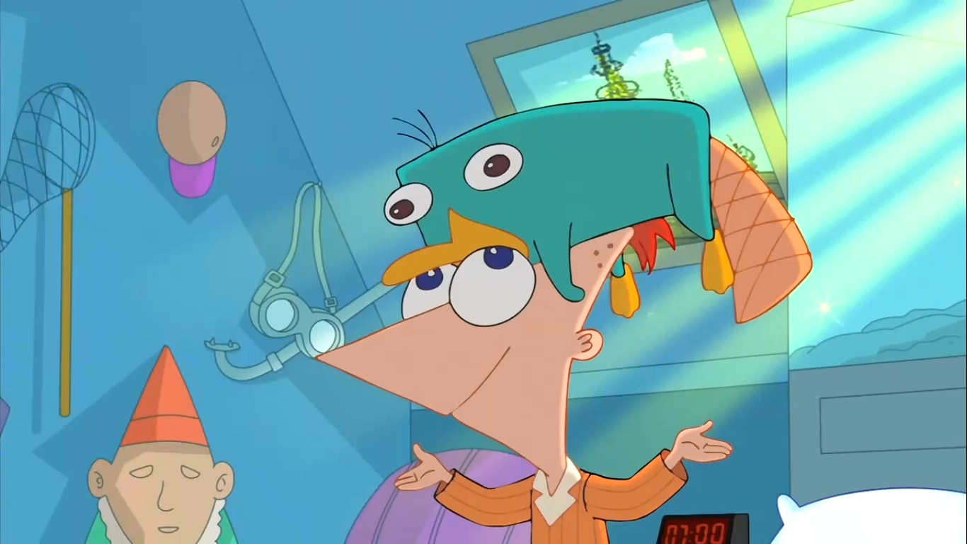 Image - Perry on Phineas's Head.jpg - Phineas and Ferb Wiki - Your ...