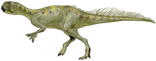 Herbivores - Dinopedia - the free dinosaur encyclopedia