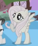 Fluttershy's tail is missing S2E2