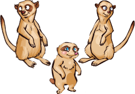 Image - Meerkat.png - Zoomumba Wiki