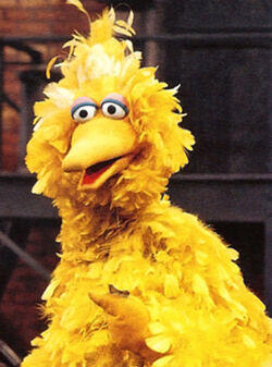 Big Bird Through The Years Muppet Wiki Big Bird Through The Years Muppet Wiki