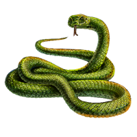 Image - Huge item grass snake 01.png - MafiaWarsWiki - Your Mafia Wars ...