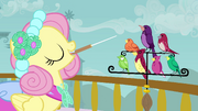 Fluttershy and Birds S2E26