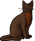 Robinwing (TC) - Warrior Cats Wiki - Erin Hunter, The Blazing Star ...