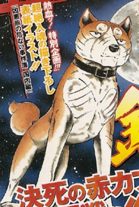 Riki - Ginga Wiki - Gin, Ginga: Nagareboshi Gin