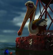 Nigel (Finding Nemo) - Pixar Wiki - Disney Pixar Animation Studios