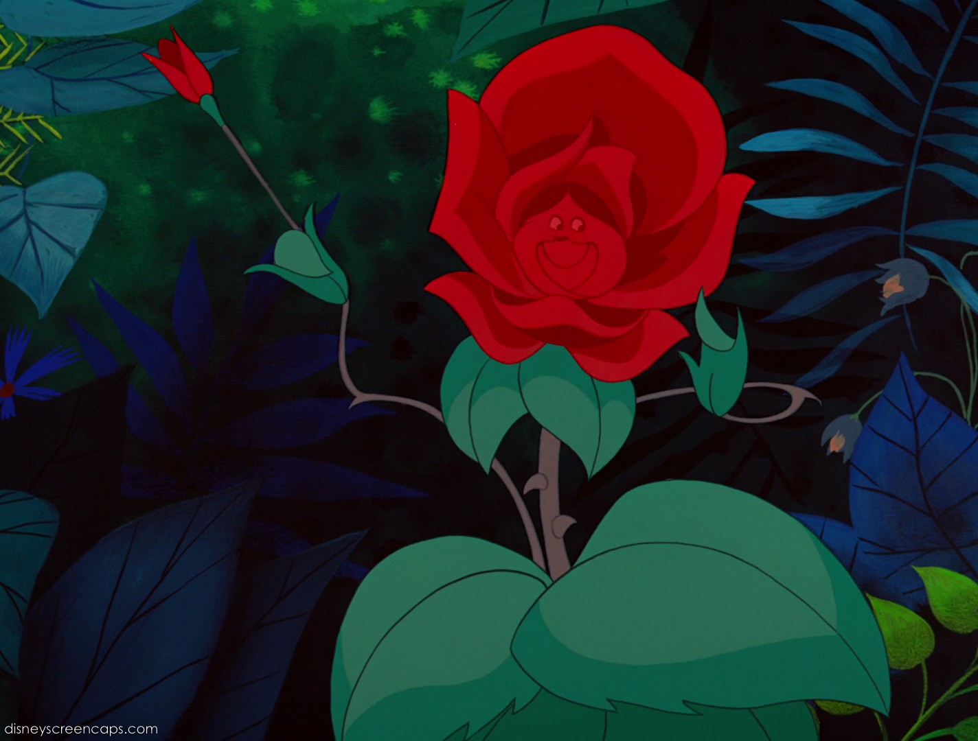 Image - Alice-disneyscreencaps com-3118.jpg - DisneyWiki