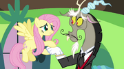 Fluttershy and Discord "well, now you do" S03E10