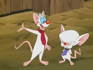 Pinky and the Brain - Animaniacs Wiki