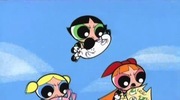 Fluffy Bunch - Powerpuff Girls Wiki