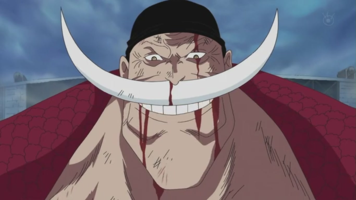 Image - Whitebeard.jpg - Toonami Wiki