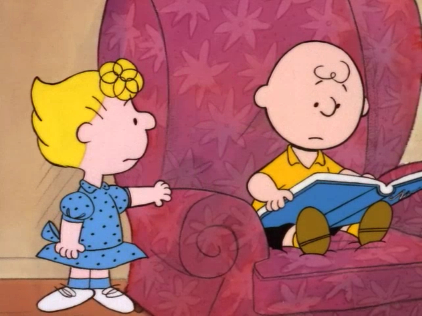 Image - What Have We Learned, Charlie Brown (2).JPG - Peanuts Wiki