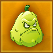 Squash - Plants vs. Zombies Wiki, the free Plants vs. Zombies encyclopedia