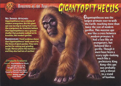 Gigantopithecus - Wierd N'wild Creatures Wiki - Wikia