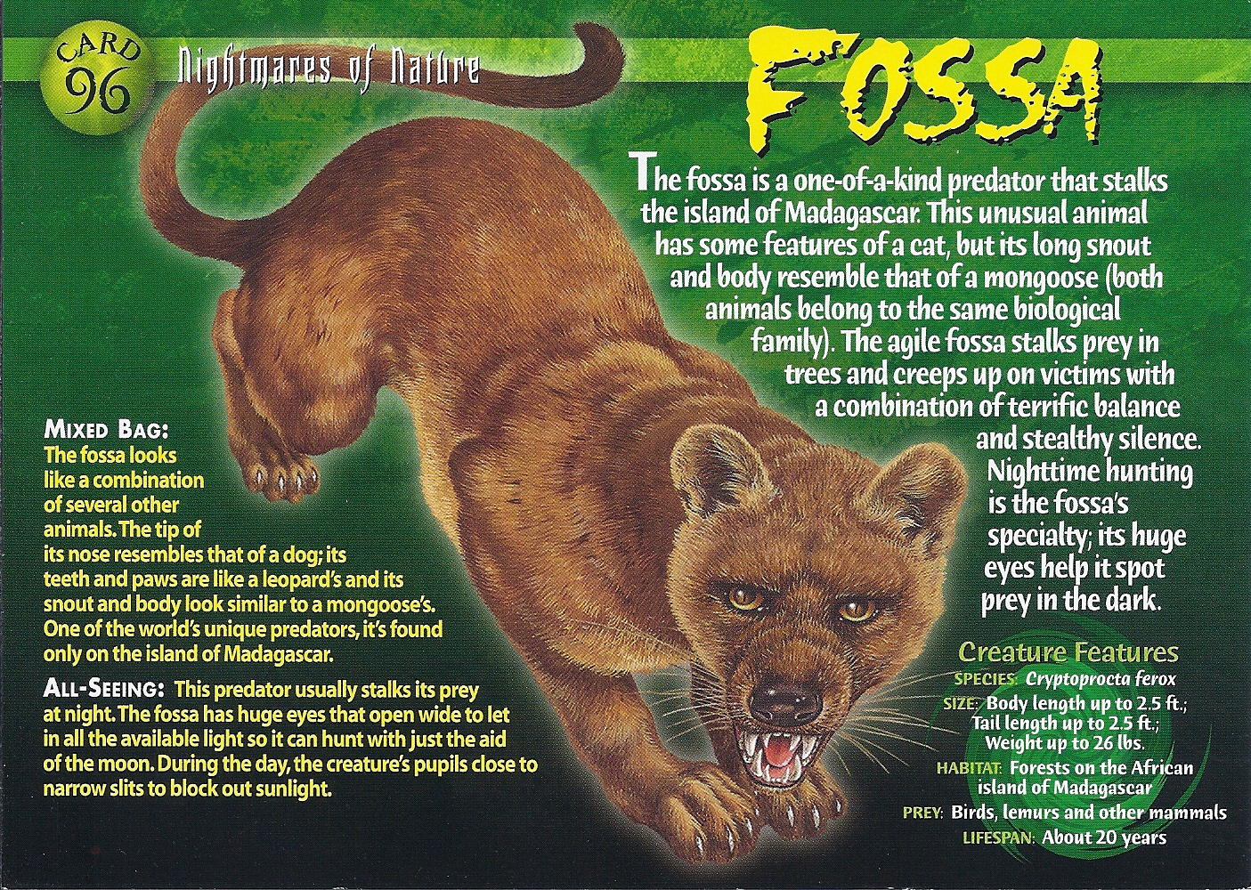 Fossa - Wierd N'wild Creatures Wiki