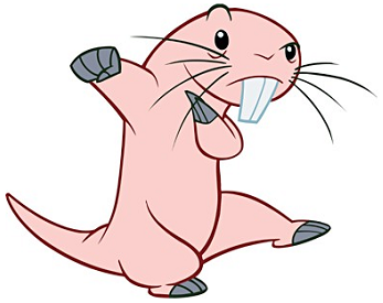 Rufus (Kim Possible) - Disney Wiki