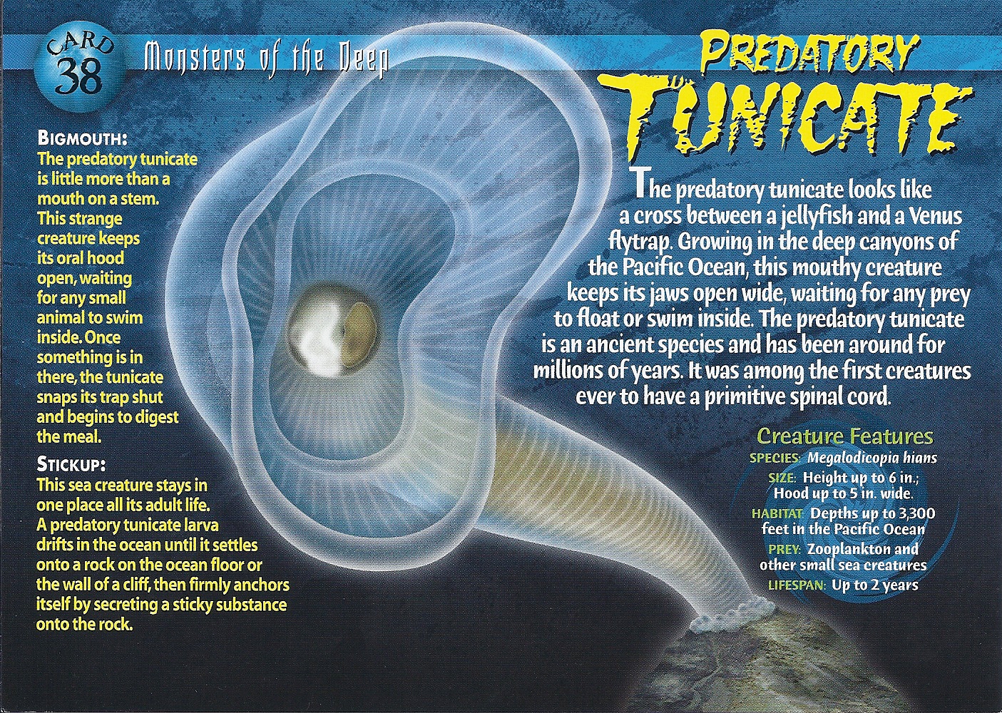 Predatory Tunicate - Wierd N'wild Creatures Wiki