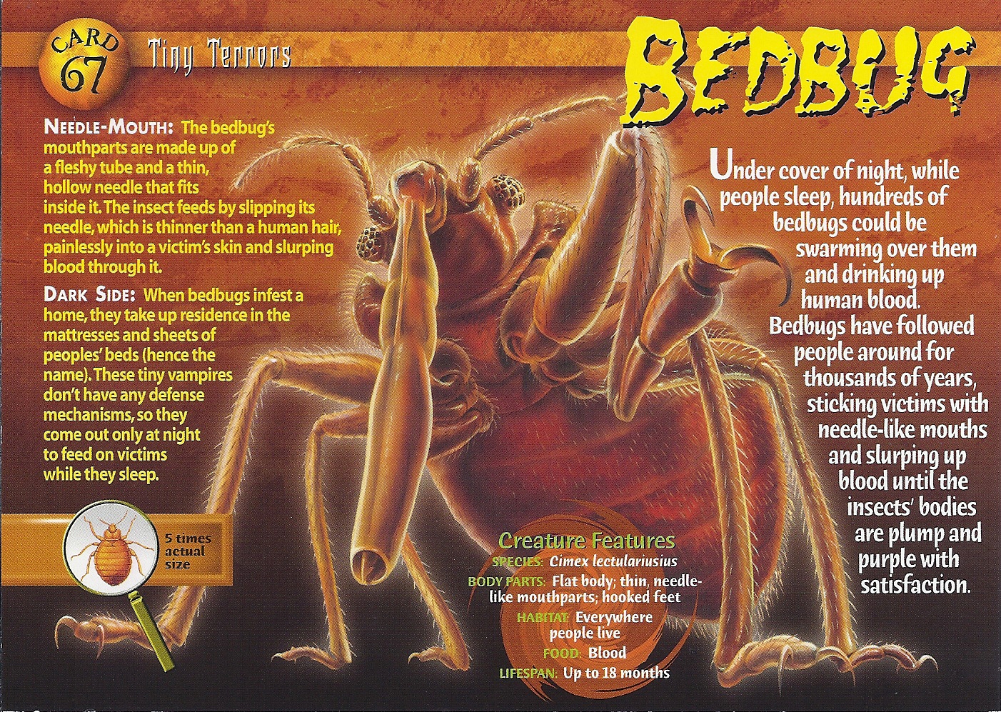 Bedbug - Wierd N'wild Creatures Wiki