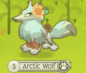 Holiday Sweater - Animal Jam Wiki