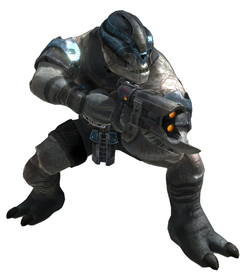 halo 4 covenant species