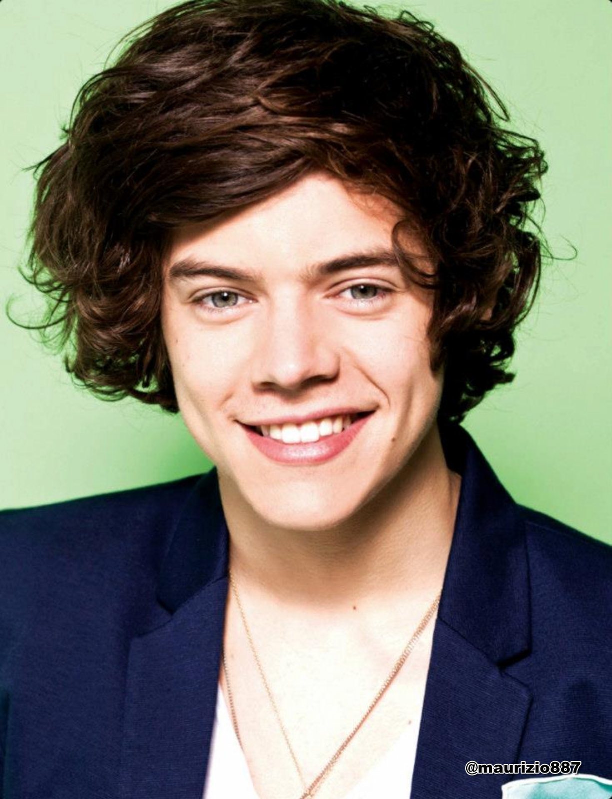 Image - Harry-Styles-The-Official-Annual-2013-one-direction-32588341 ...