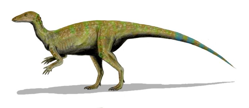 Thescelosaurus - Dinopedia - the free dinosaur encyclopedia