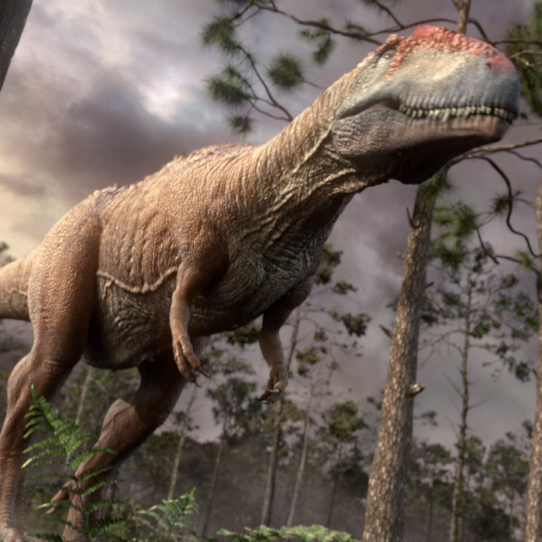 Заурофаганакс. Mapusaurus roseae. Спинозавр Планета динозавров. Заурофаганакс Планета динозавров. Мапузавр динозавр.