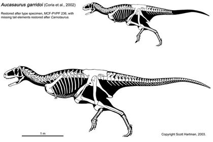 Image - Aucasaurus - 1(Skeletal(Scott Hartman)).jpg - Prehistory Wiki