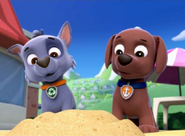 Rocky - PAW Patrol Wiki