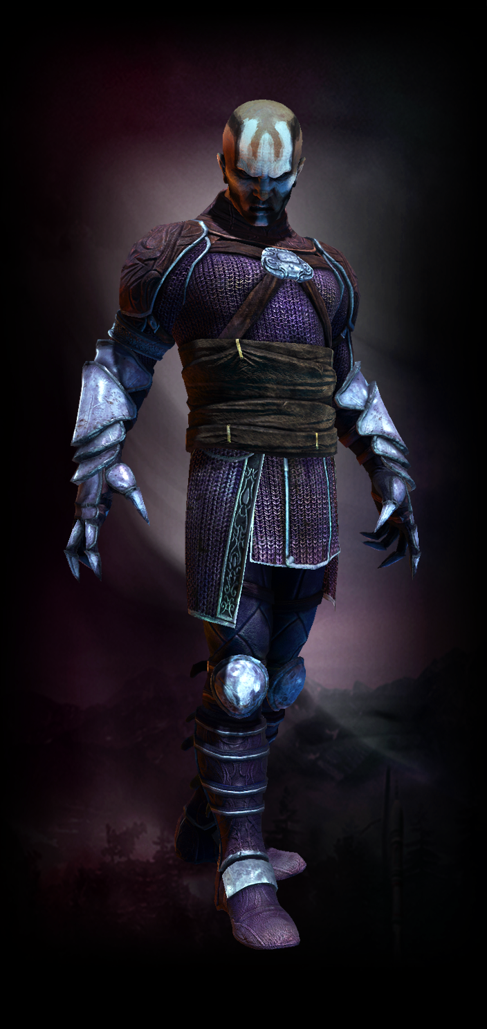 http://img1.wikia.nocookie.net/__cb20140307012408/legacyofkain/images/b/bb/Nosgoth-Skins-Reaver-Raider%27sHauberk.png