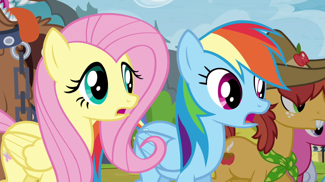 Image - Fluttershy and Rainbow Dash surprised S4E22.png - My Little ...