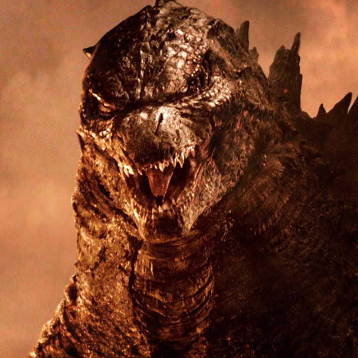 Godzilla 2014 Godzilla Face