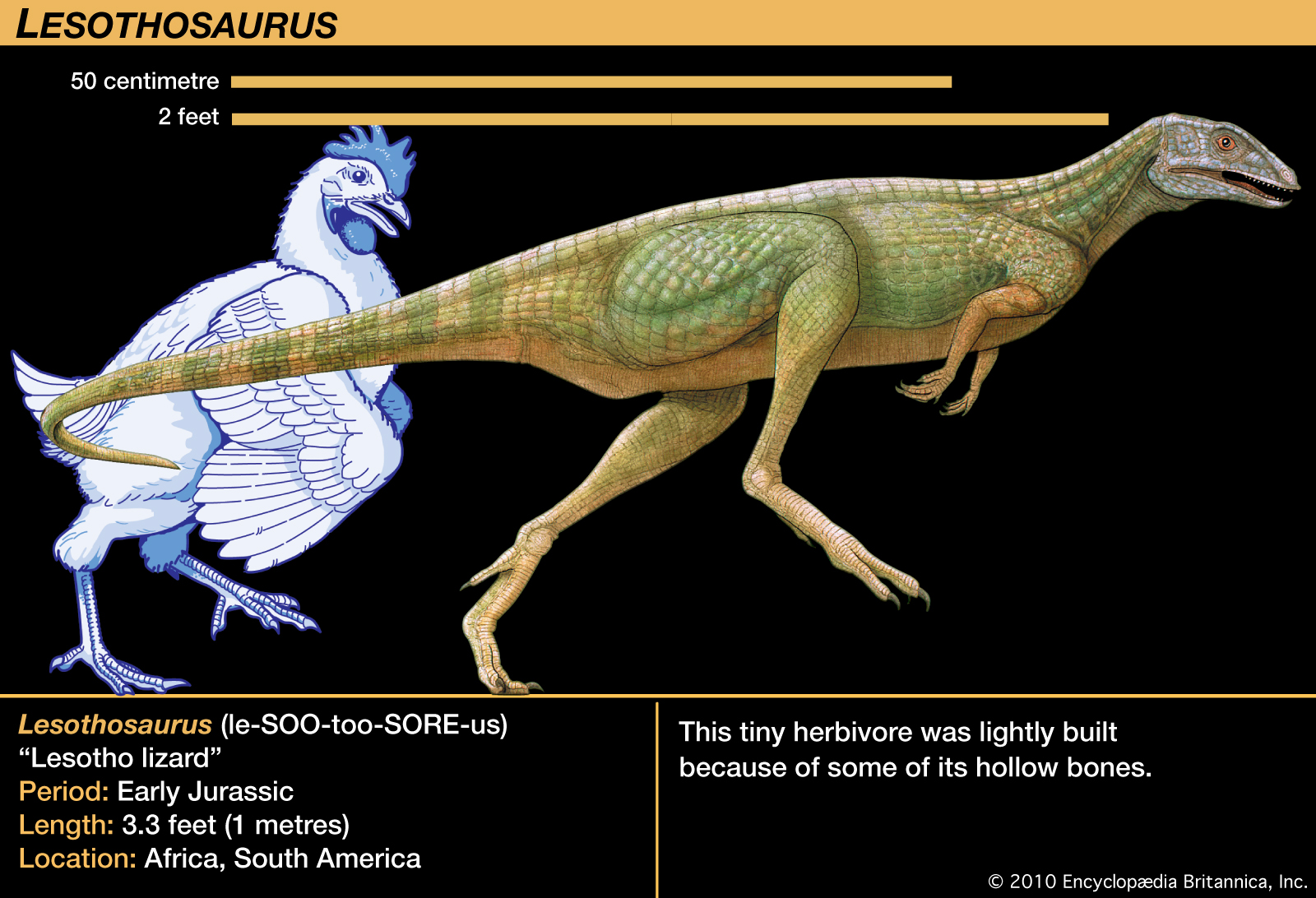 Lesothosaurus - Dinopedia - the free dinosaur encyclopedia