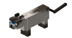 Image - Grey cat minecraft.png - Minecraft: The Haunted Wiki - Wikia