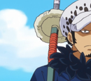 Trafalgar D. Water Law