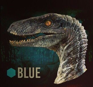 Raptor_squad_Blue_header_icon.jpg
